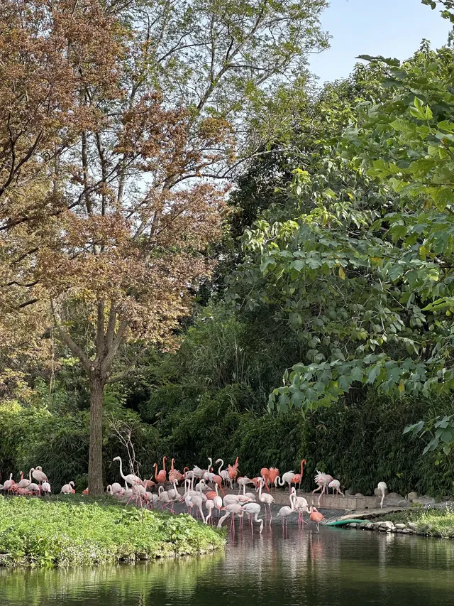 30歲不薅羊毛，更待何時！
