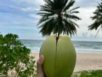 Phu Quoc Beaches: Vietnam’s Tropical Paradise You Can’t Miss!