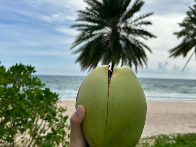 Phu Quoc Beaches: Vietnam’s Tropical Paradise You Can’t Miss!