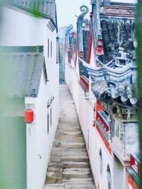 你真的沒騙我,石井水庫真的美到失語