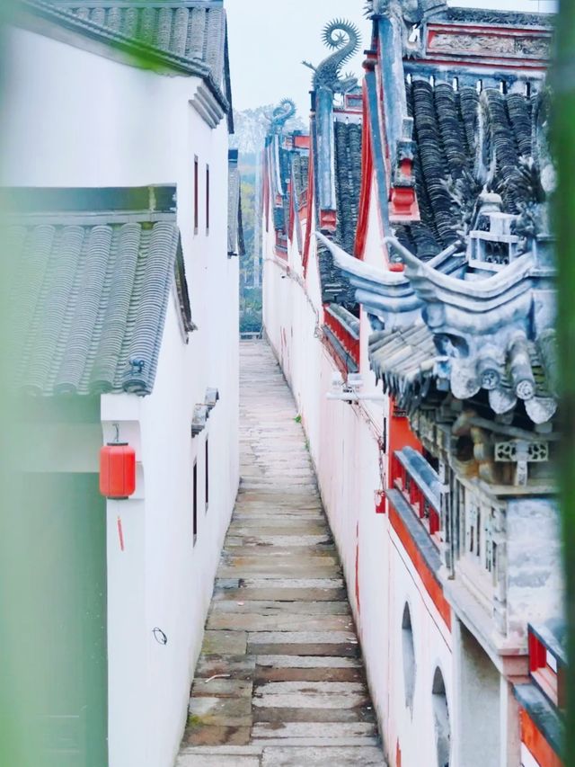 你真的沒騙我,石井水庫真的美到失語 你真的沒騙我,石井水庫真的美到失語