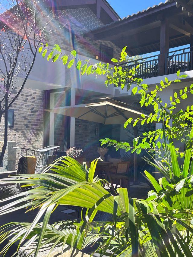 束河納西民宿躺平指南