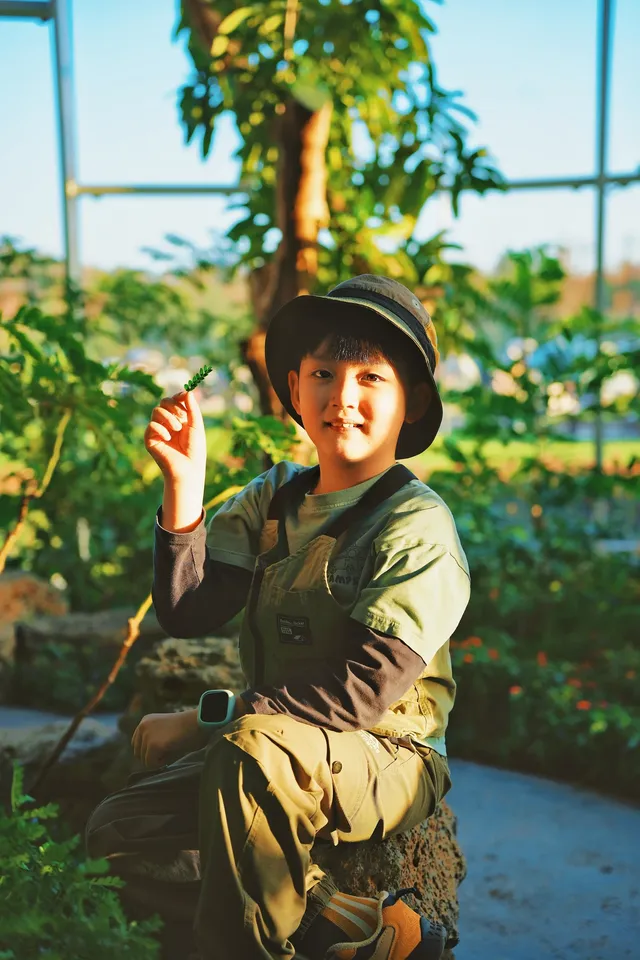 闖入綠野仙蹤,快來當森系主角 闖入綠野仙蹤,快來當森系主角