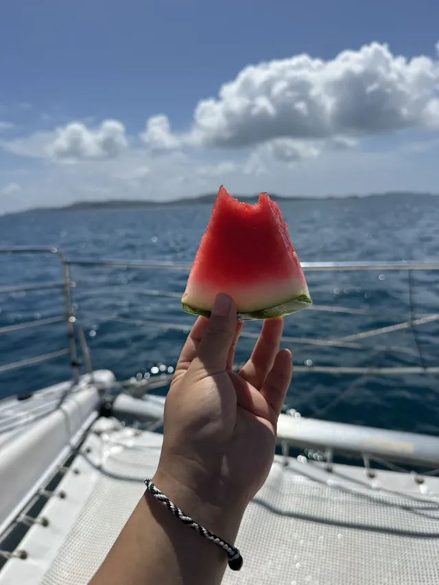 澳洲 ｜ 不打工的WHV假期•擁抱大堡礁的藍