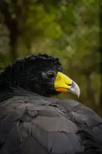 上海動物園‖動物攝影師的天堂
