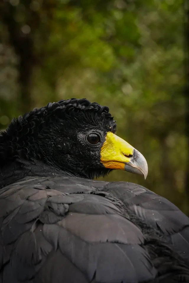 上海動物園‖動物攝影師的天堂 上海動物園‖動物攝影師的天堂