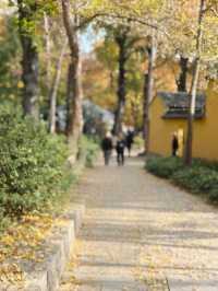 蘇州採楓絕佳打卡地|秋日氛圍感拉滿