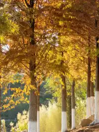 郴州,一個彷彿一直在塞車的城市