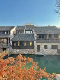 濮院賞秋地圖|拍出明星同款大片!