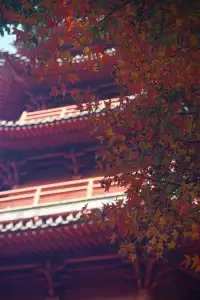 12.6 湖州秋景city walk路線