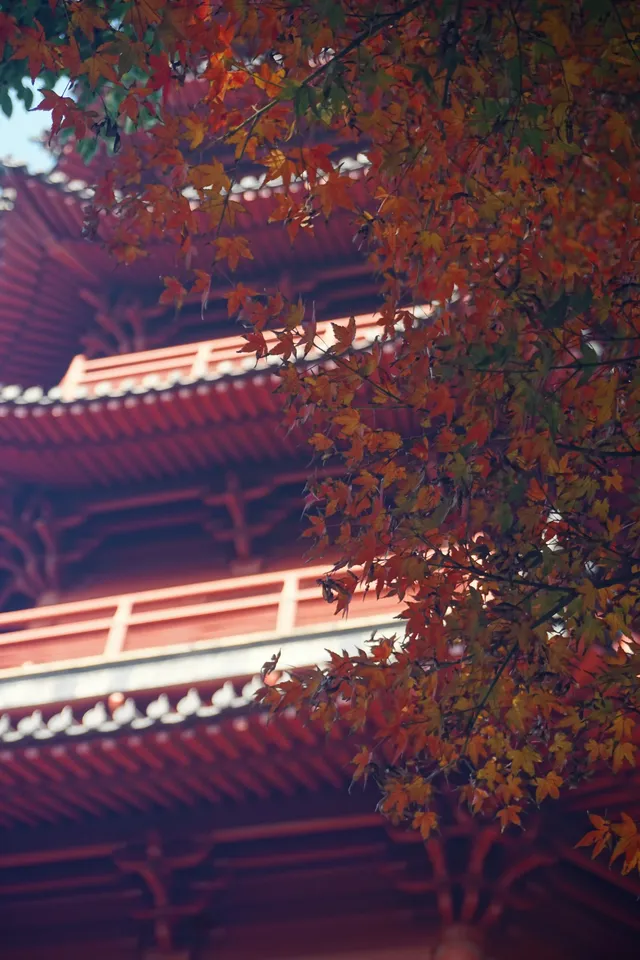 12.6 湖州秋景city walk路線 12.6 湖州秋景city walk路線