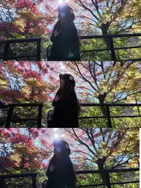 京都𝐊𝐲𝐨𝐭𝐨｜漫畫照進現實