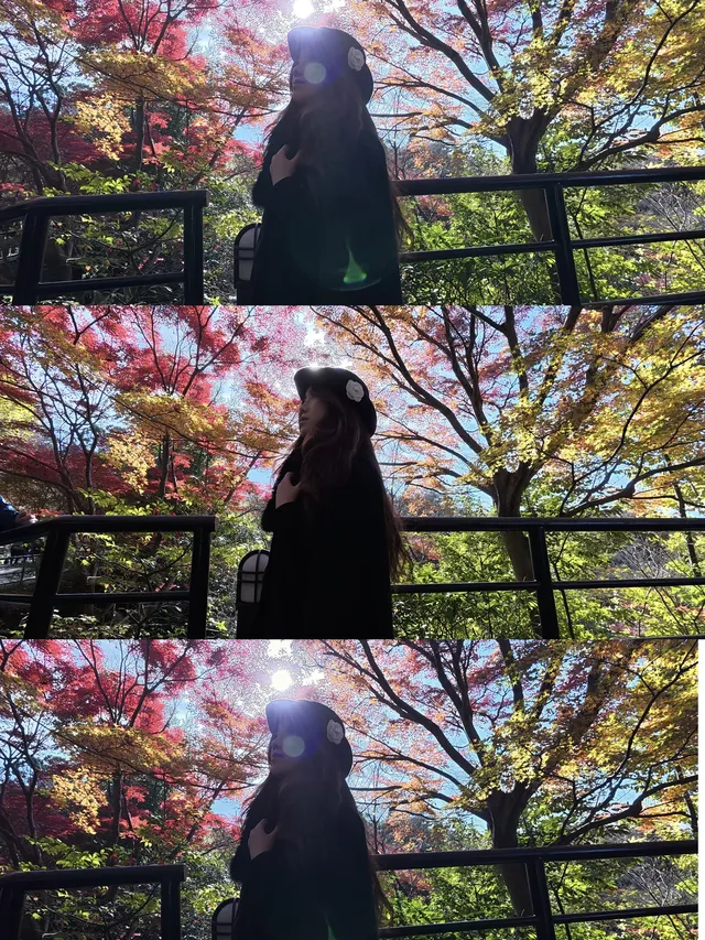 京都𝐊𝐲𝐨𝐭𝐨｜漫畫照進現實