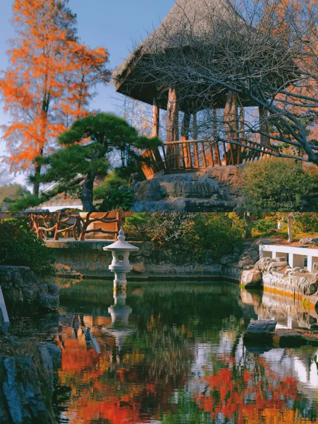 99% of people in Shanghai don't know | The "Little Kyoto" hidden in the city center