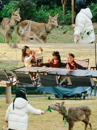 Chongqing Moms' New Favorite: Unlocking the New Spring Festival Experience at Bashu Little Nara