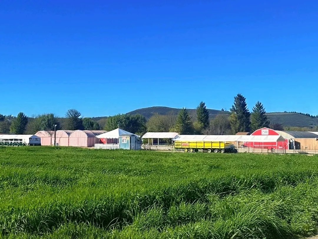 田中農場蔬菜種植樂