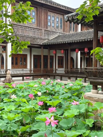 蘇州｜「石湖公園」の蓮の開花情報 。 | Trip.com 蘇州