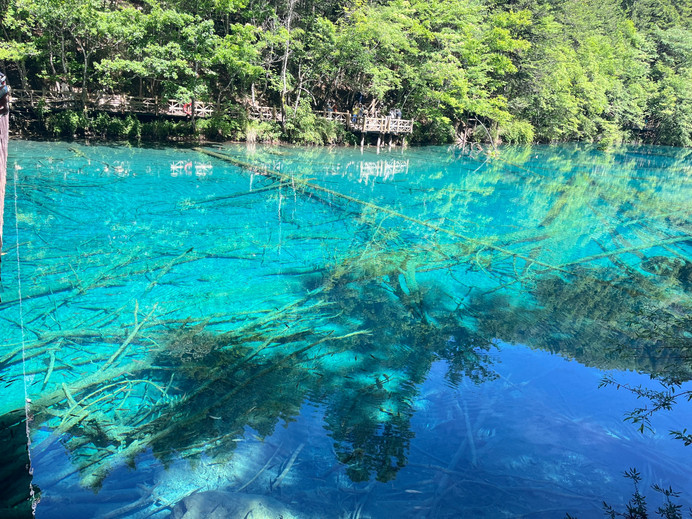九寨溝の夏の山水画の癒しの旅を開く | Trip.com 九寨溝