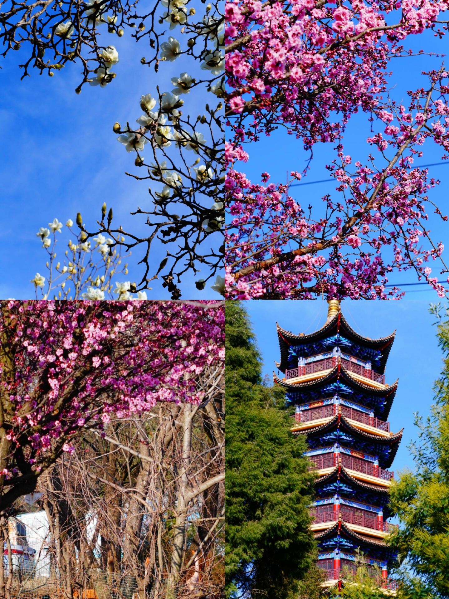 After enduring hardship in Xuanwei, I spent 3 days there without any disappointments