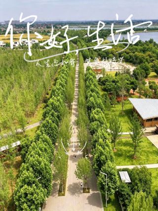 Летняя фотосъемка в Сючжоу, провинция Цзясин: скрытые жемчужины с потрясающими возможностями для фотосъемки среди сказочных деревьев гинкго!