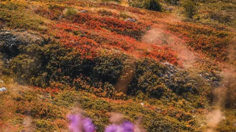 Verbier, Switzerland, experience the wildest side of the Alps — traveler post in Geneva
