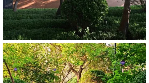 Nhiếp ảnh du lịch tại Công viên đất ngập nước Lanxi, Lanling, Linyi | Khám phá vẻ đẹp Giang Nam kiểu Tô Châu ở Giang Bắc: Công viên đất ngập nước Lanxi, được mệnh danh là "Ấn tượng Tô Châu", nằm ẩn mình trong Khu đô thị mới phía Đông của Lanling. — traveler post in Thương Sơn