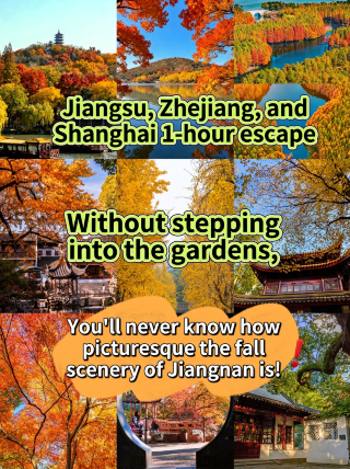 Pemandangan musim gugur di Suzhou sangat menakjubkan; kunjungi keindahan Jiangnan yang keemasan akhir pekan ini!