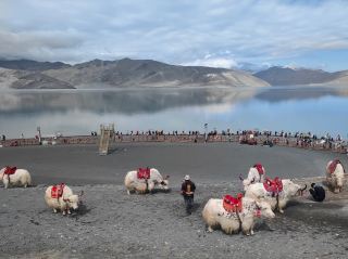 Exploring Xinjiang · Kashgar | Pamir Baisha Lake Guide: Half white sand like snow, half deep blue lake water