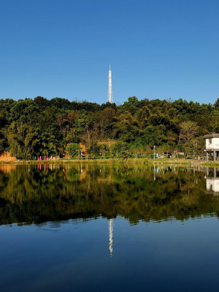 Dawang Mountain National Forest Park, Yunfu | A complete guide to a relaxing floral oxygen bar getaway