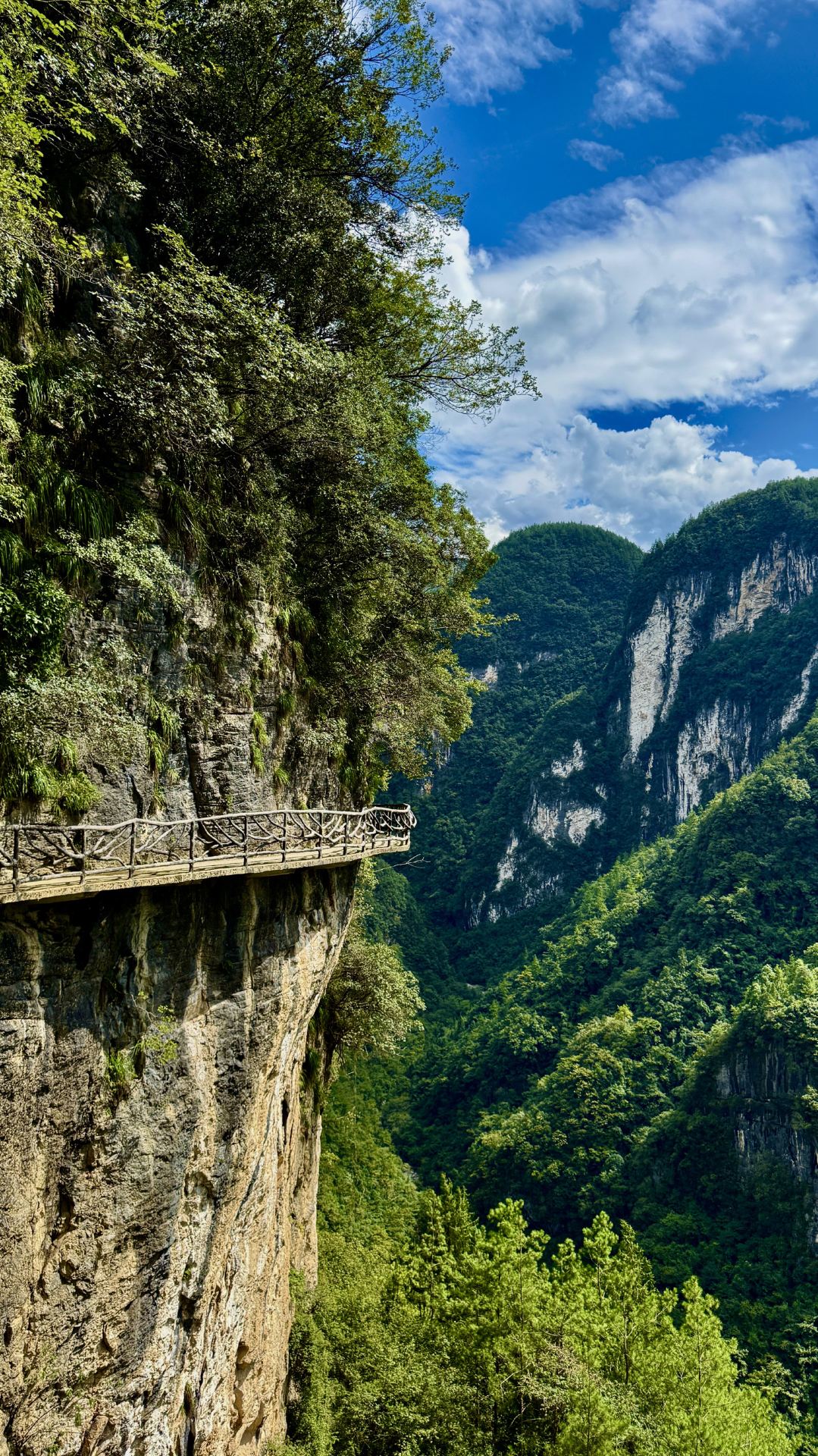 Leo núi ở Hẻm núi Bashan: Một viên ngọc ẩn mình ở Bắc Tứ Xuyên, tận hưởng khung cảnh mùa thu tuyệt đẹp.