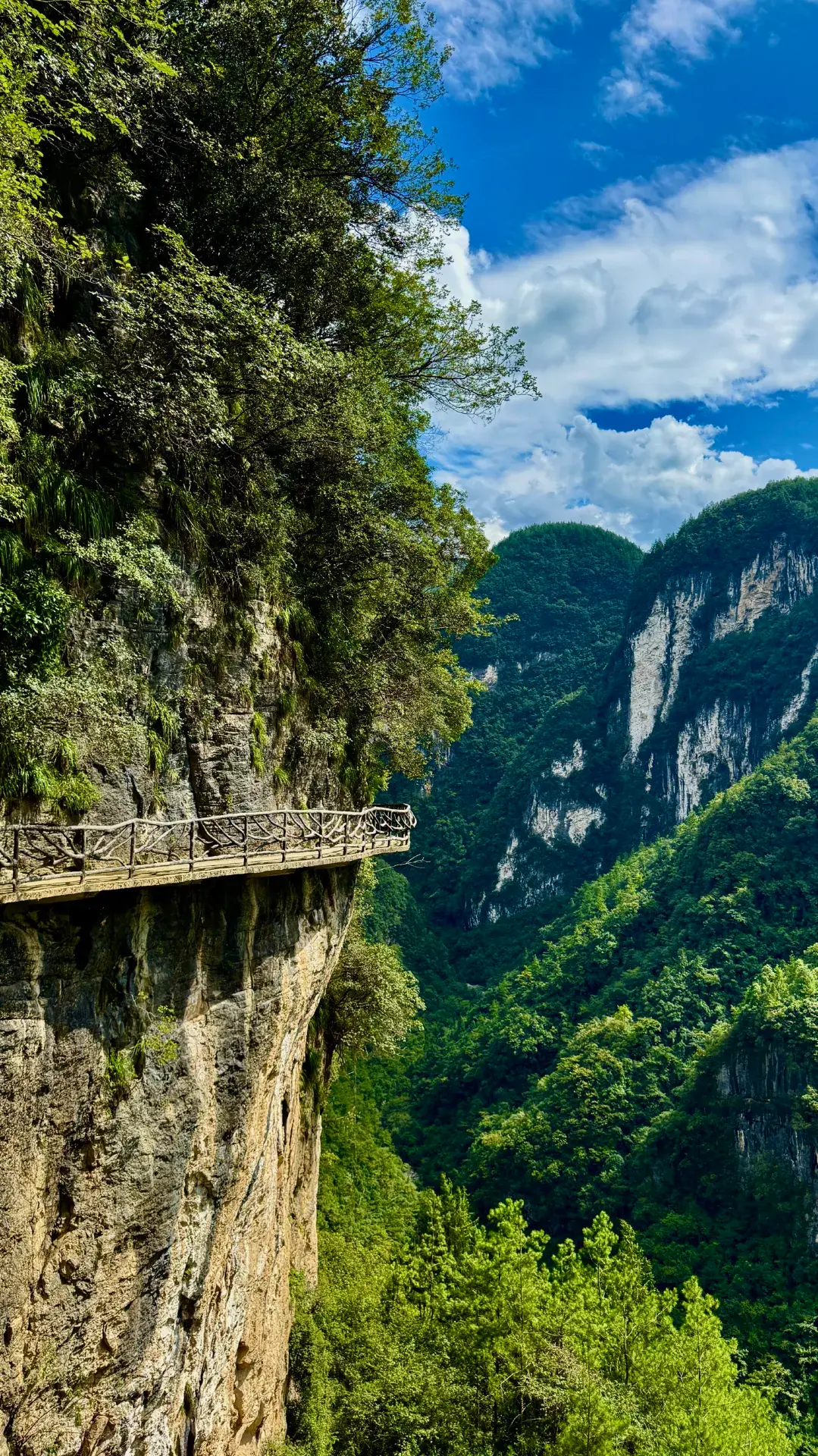 Bashan Grand Canyon hiking secret spot, stunning mountain scenery for autumn viewing in northern Sichuan