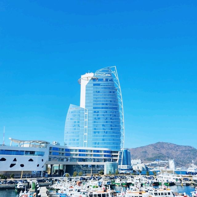핑크빛 노을이 있는 소노캄 여수