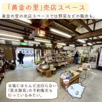 【静岡】梅ヶ島温泉郷　立ち寄りスポット5選