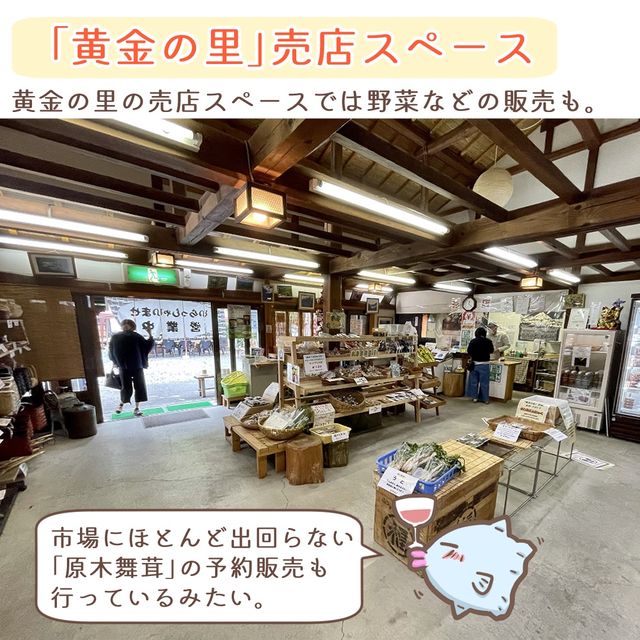 【静岡】梅ヶ島温泉郷　立ち寄りスポット5選