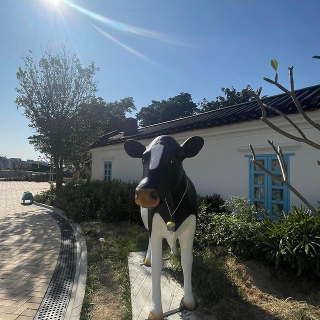 隱世薄鳧林牧場🐮舊牛奶公司職員宿舍❤️百年歷史