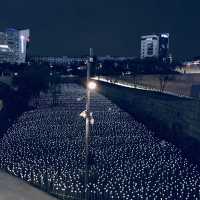 Dongdaemun Design Plaza