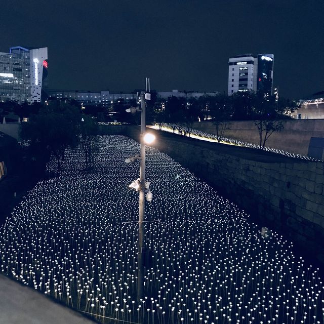 Dongdaemun Design Plaza