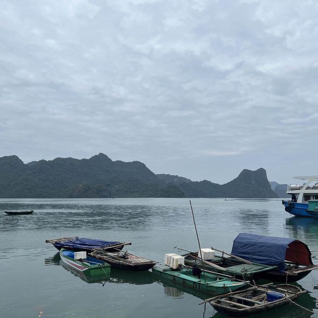 One Night in Halong Bay/ LanHa Bay 🌊🌊