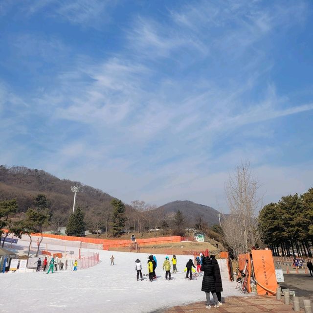 หนาวนี้ไปเล่นสโนว์บอร์ดที่ Jisan Forest Resort ❄️