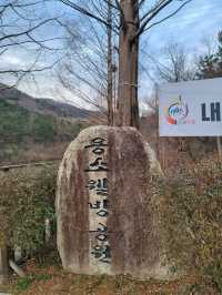 겨울에도 여전히 분위기 있는 용소웰빙공원🌳