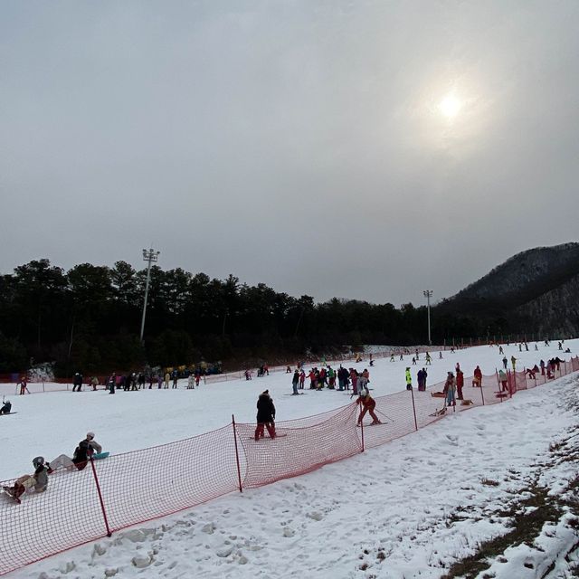 芝山滑雪場😍😍