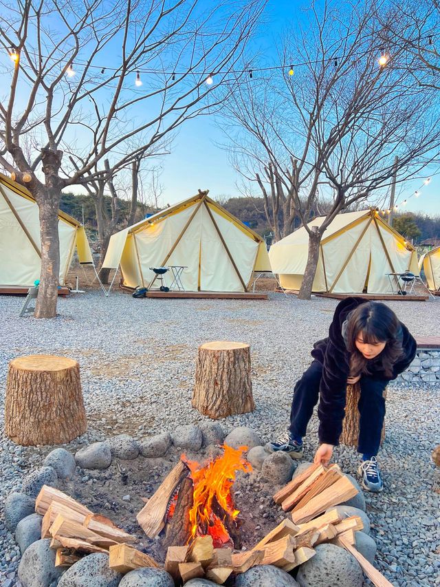 애견동반 가능한 양주 캠핑장🐕