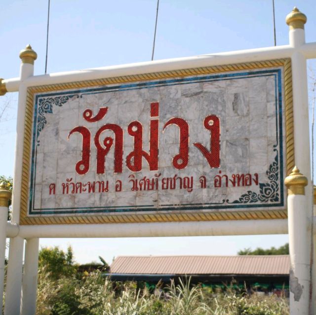 ไหว้พระ 'วัดม่วง' วิเศษชัยชาญ อ่างทอง