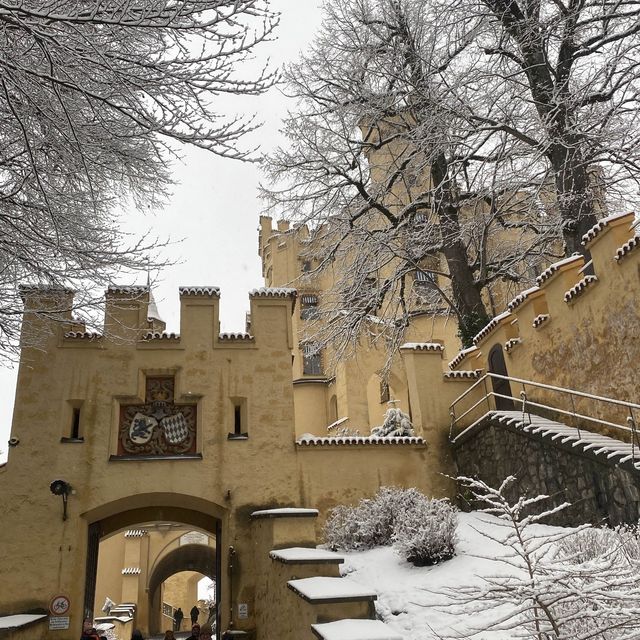 雪の中のホーエンシュバンガウ城❄️