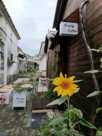 深圳大鵬所城(大鵬古城)