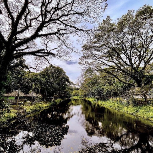 Nature at Its Finest at La Mesa Ecopark 