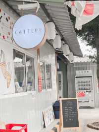 CATTERY Cafe 