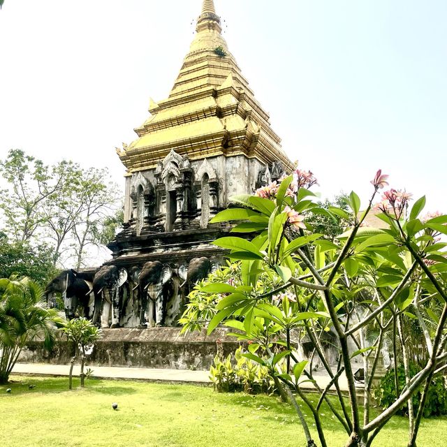 泰國🇹🇭清邁 ｜來一趟美食之旅😋自由行🚶🏼