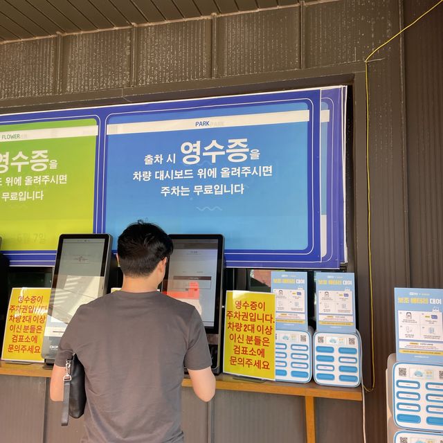 태안 세계튤립꽃박람회에서 봄꽃 놀이🌷