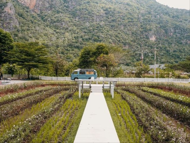 🚲🏕 𝘽𝙞𝙠𝙚 𝘾𝙖𝙢𝙥 คาเฟ่และที่พัก #หุบป่าตาด จ.อุทัยธานี